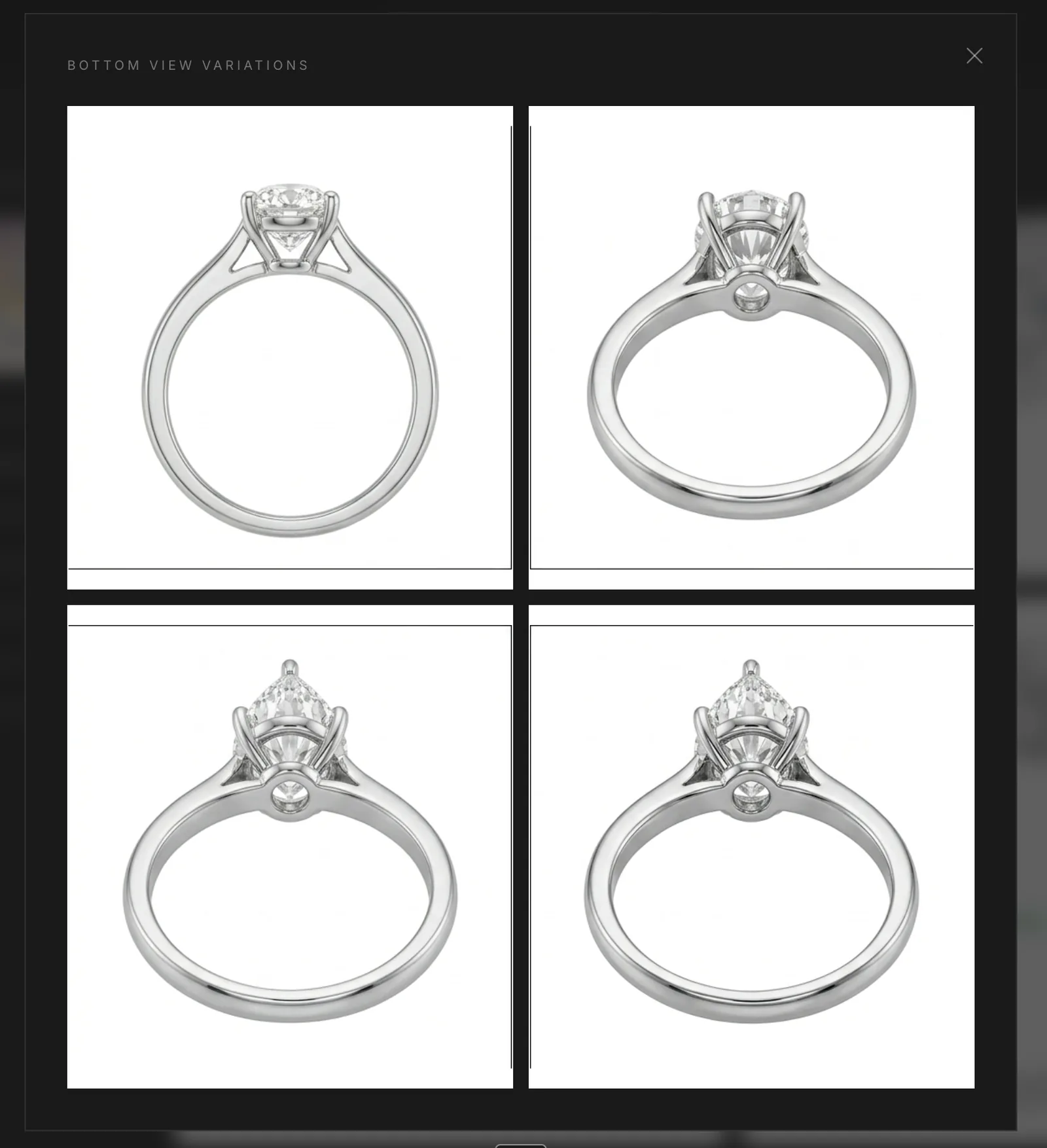 The variations dialog open with alternate renders for a single projection
